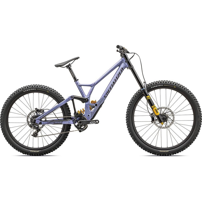 Specialized 2024 demo race